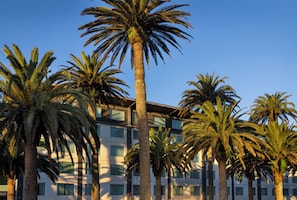 Un edificio a più piani con palme davanti.