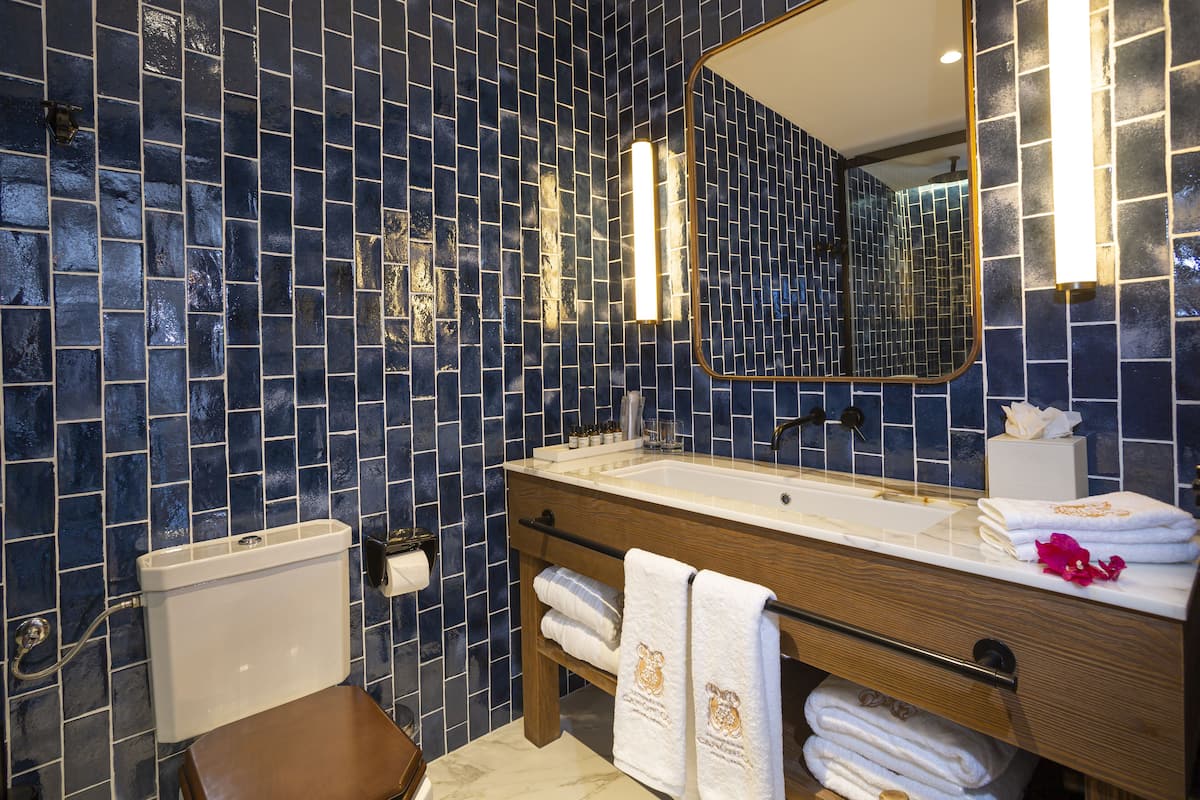 shower, rainfall showerhead, designer toiletries, hair dryer