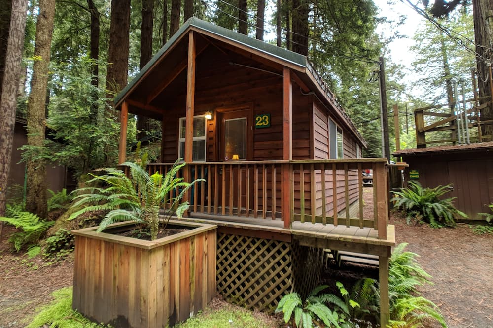 Emerald Forest Cabins
