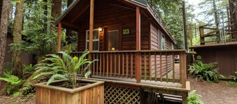 Emerald Forest Cabins