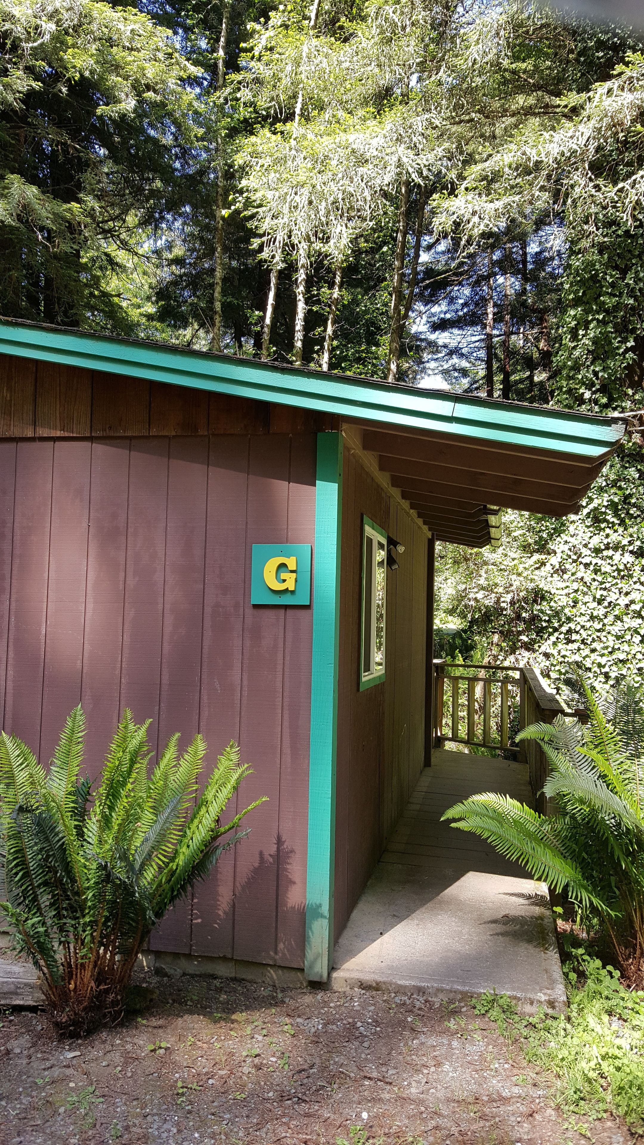 A wooden cabin with a green roof, labeled 'G', surrounded by dense greenery and trees.