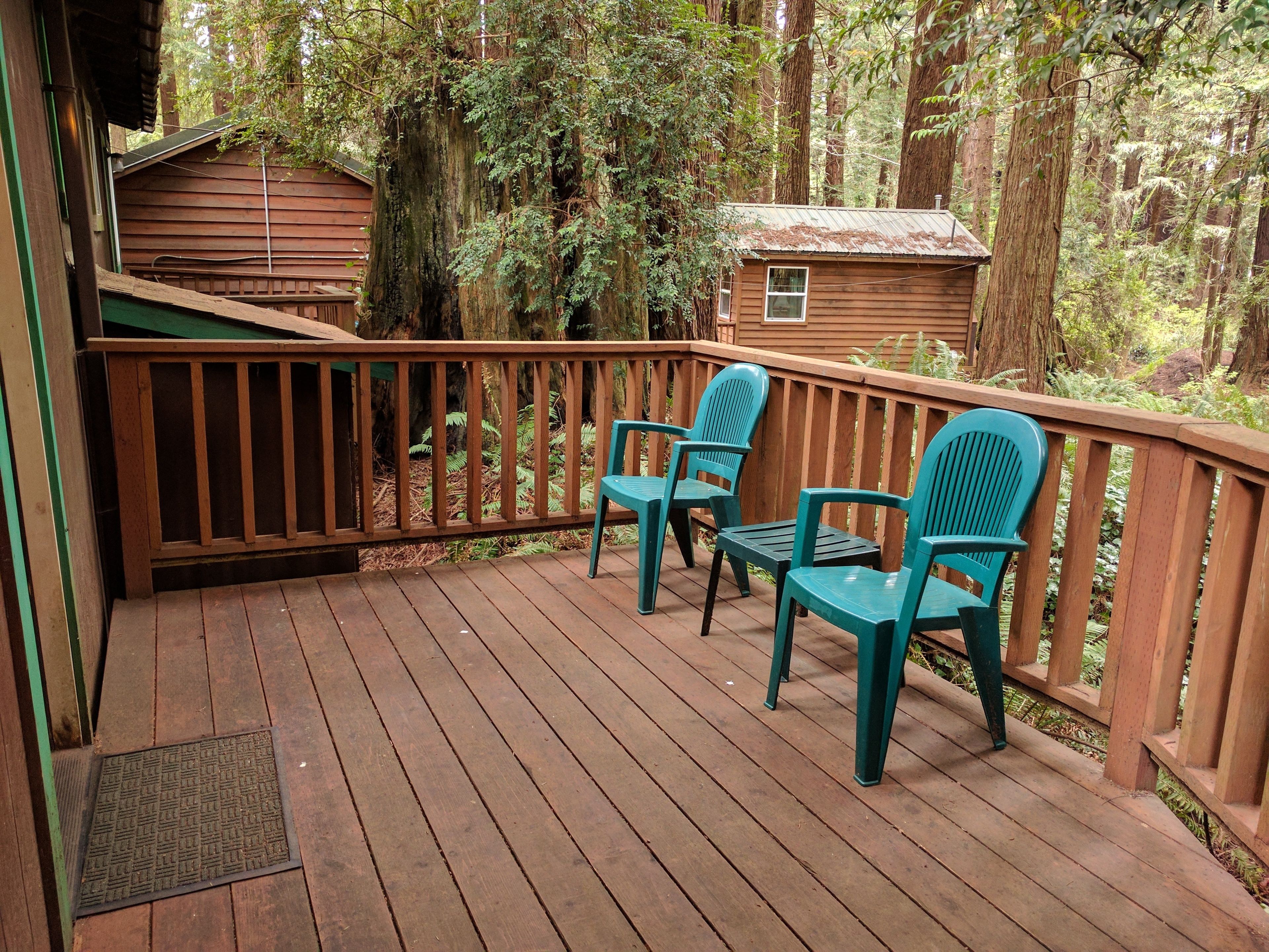 Family Room, 1 Bedroom, Balcony, Park View (pets allowed) | Terrace/patio