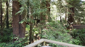 View from property - Emerald Forest Cabins (Trinidad)