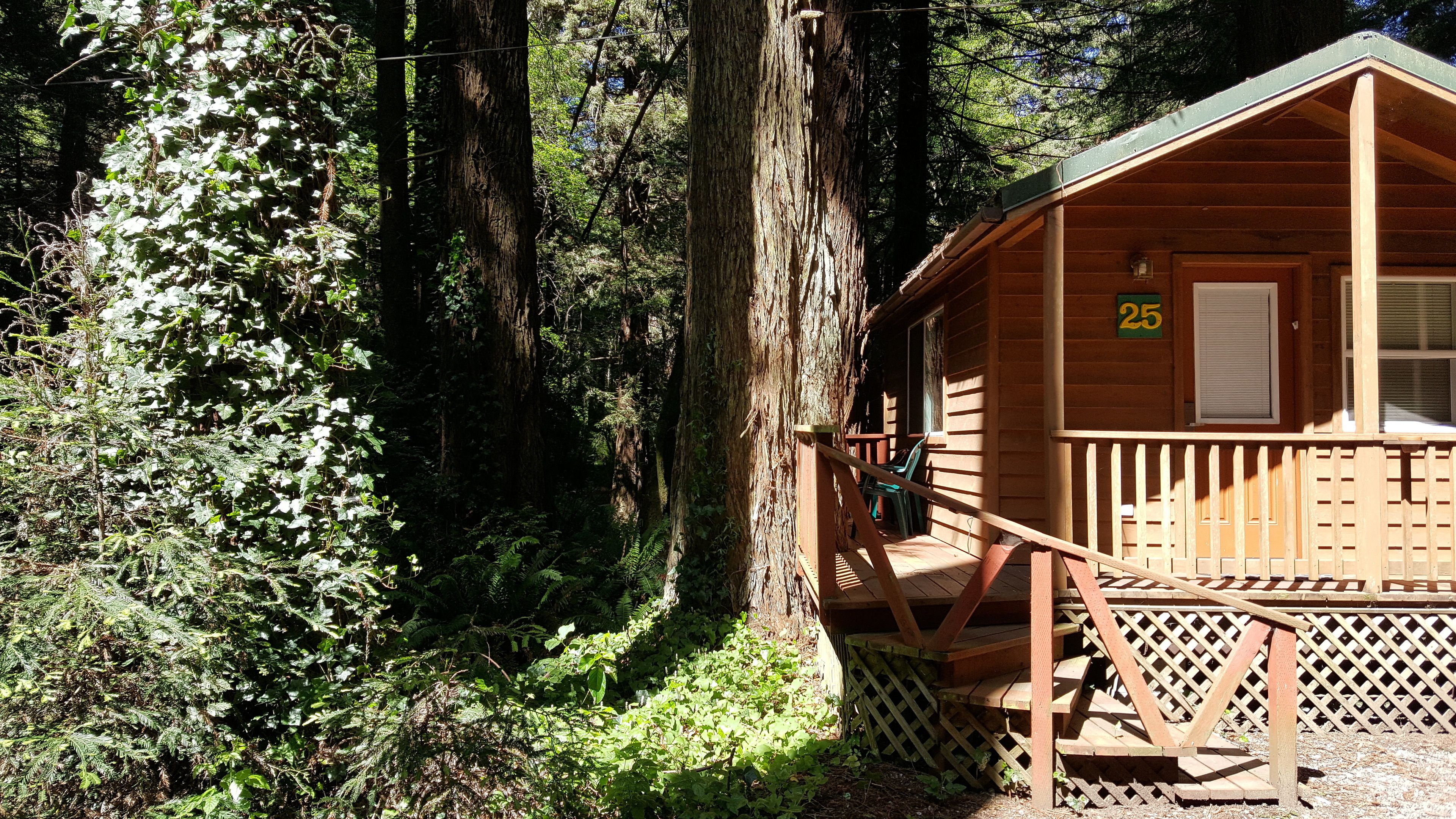 Une cabane dotée d’une terrasse en bois et d’une plaque portant le numéro 25, entourée d’une forêt dense.