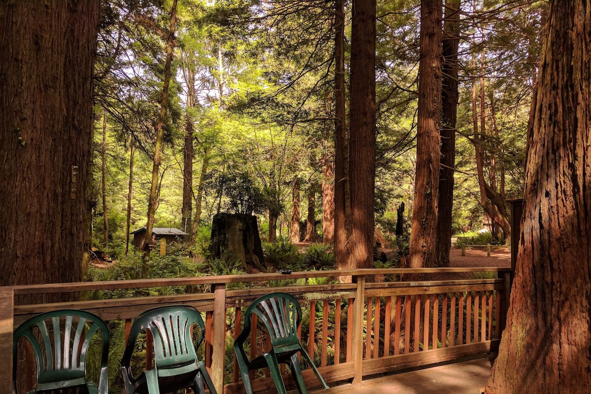 A wooden deck with chairs, surrounded by tall trees and a forested area.