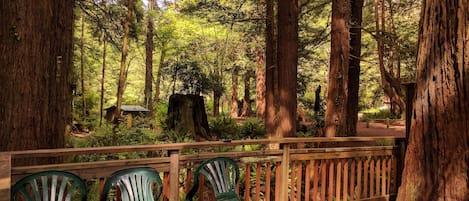 Chambre Familiale, plusieurs lits, vue jardin (pets allowed) | Terrasse/Patio