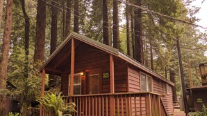 Una cabaña de madera con balcón, rodeada de altos árboles.