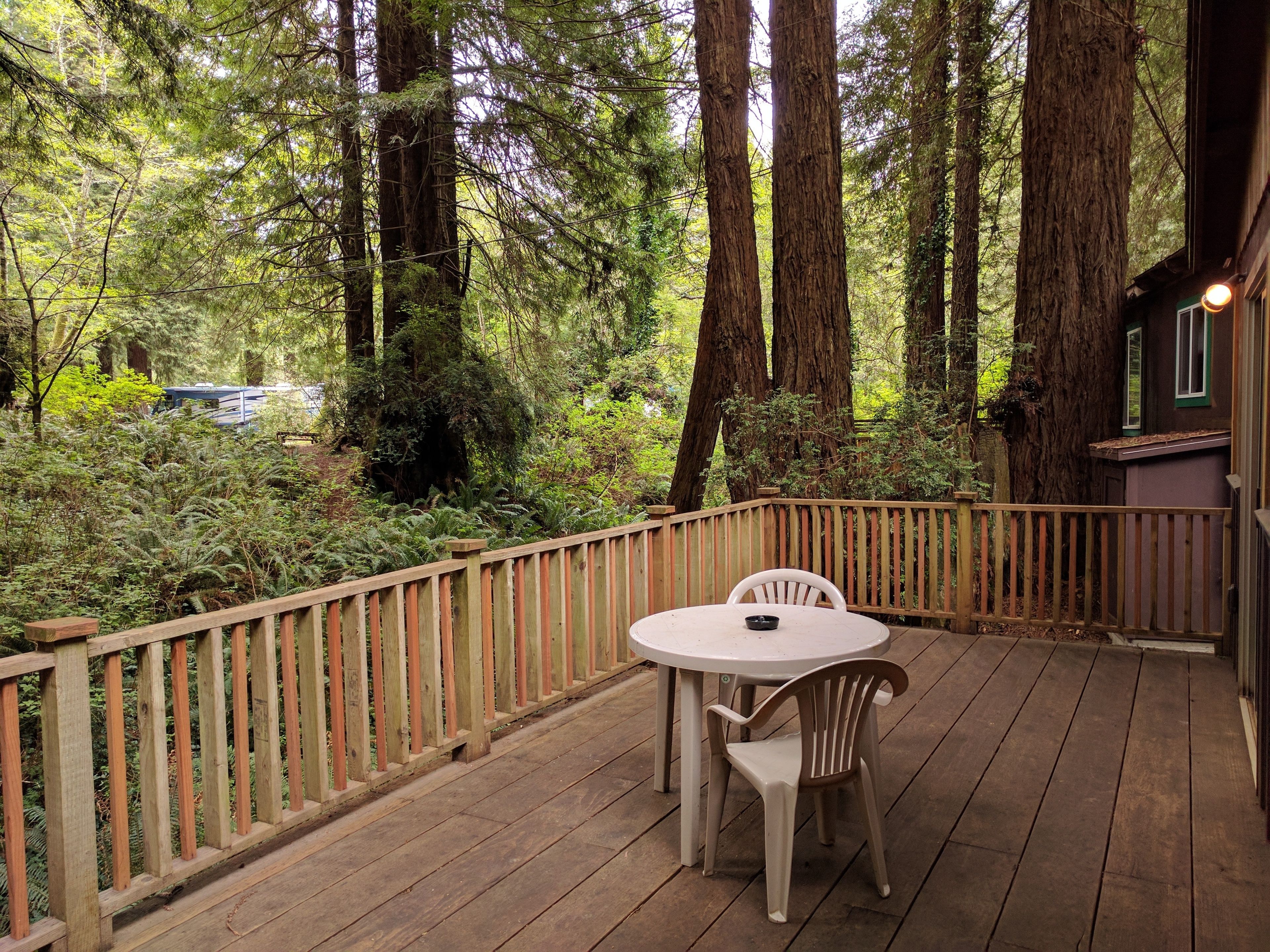 A wooden deck with a table and chairs, surrounded by tall trees and dense foliage.