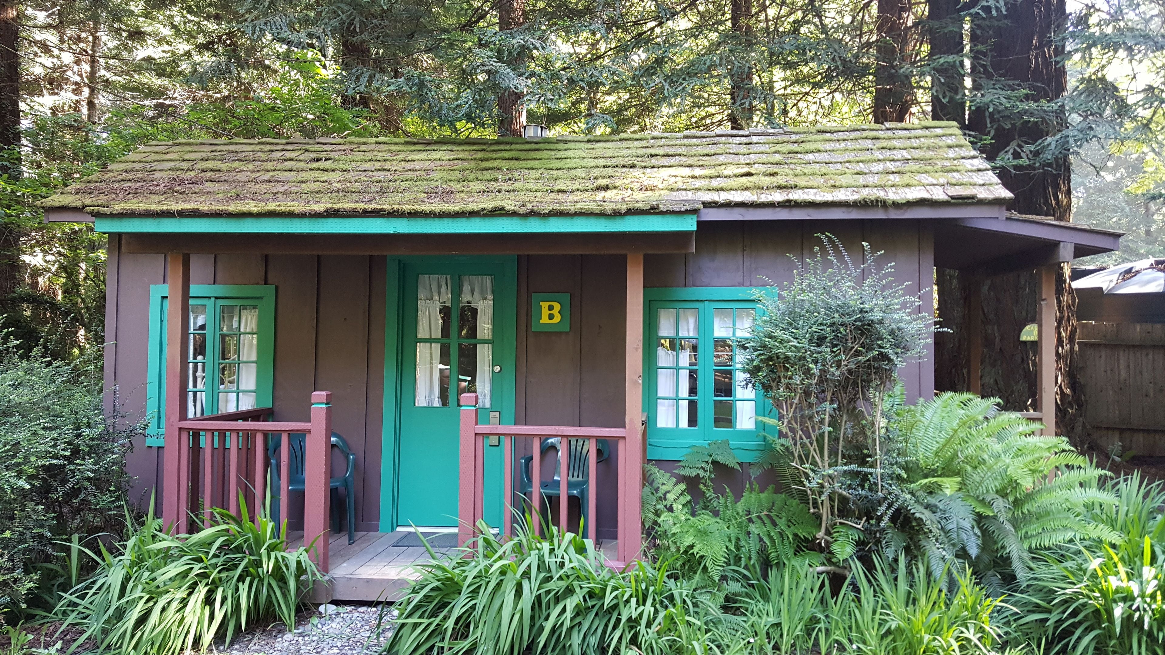 A small cabin with a green door and windows, surrounded by lush greenery.