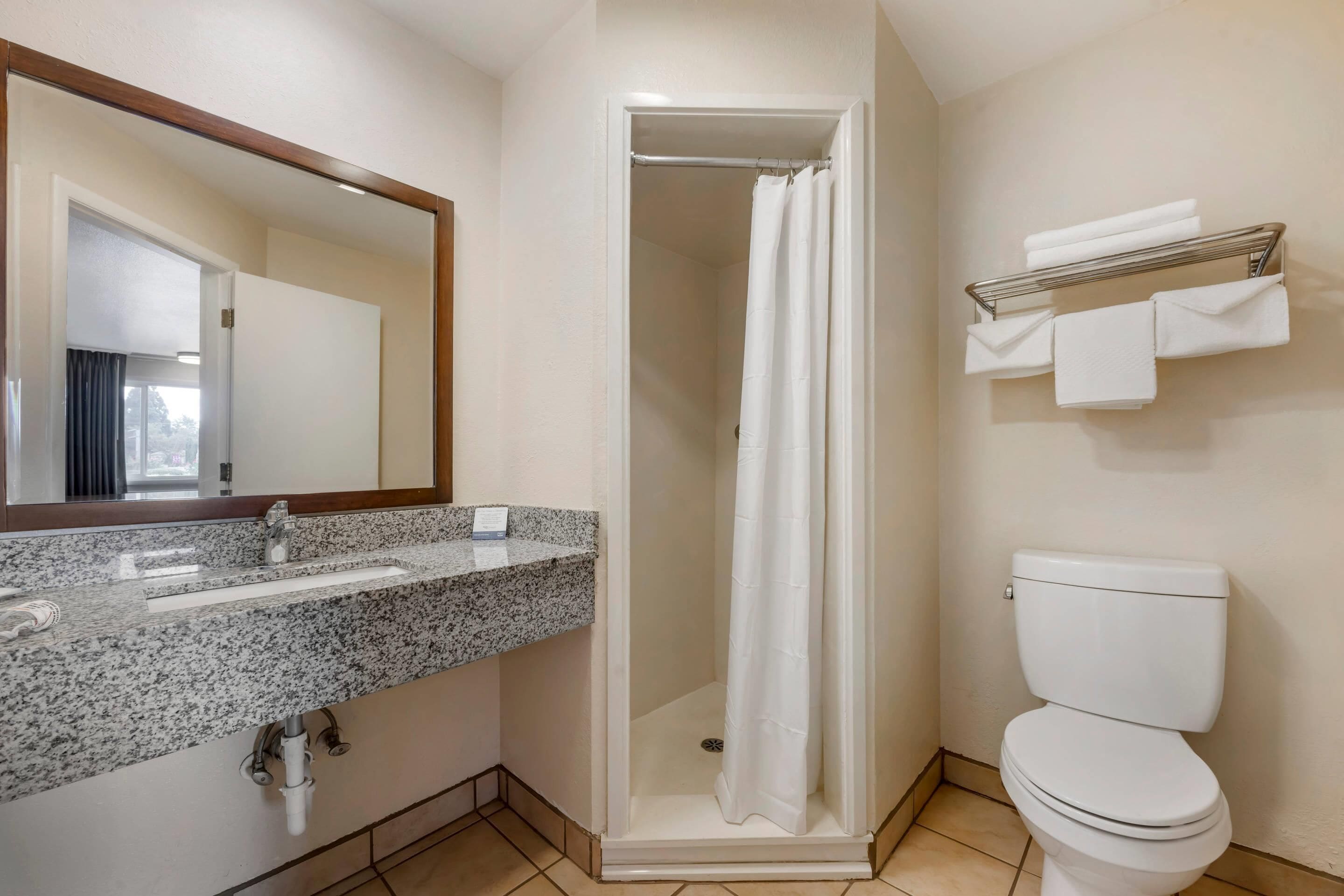 A bathroom with a granite countertop sink, a shower enclosure, a toilet, and a towel rack.