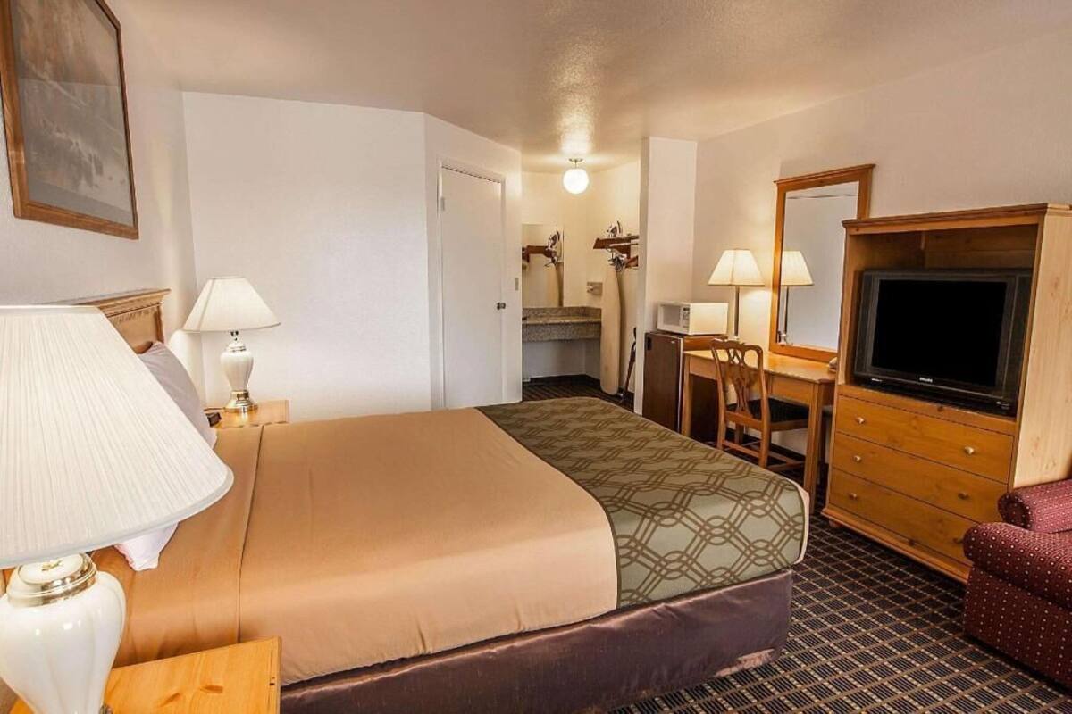 A hotel room with a bed, a desk, a television, a dresser, and a mirror.