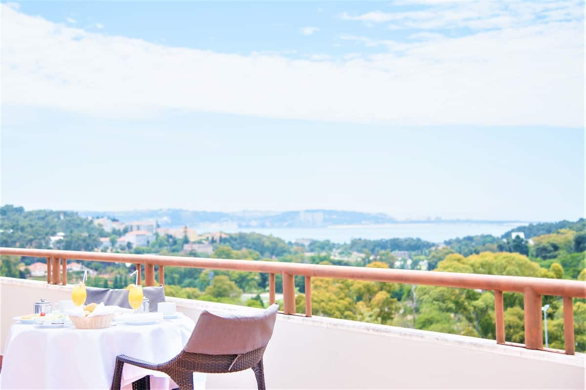 Panoramic Suite, River View | View from room