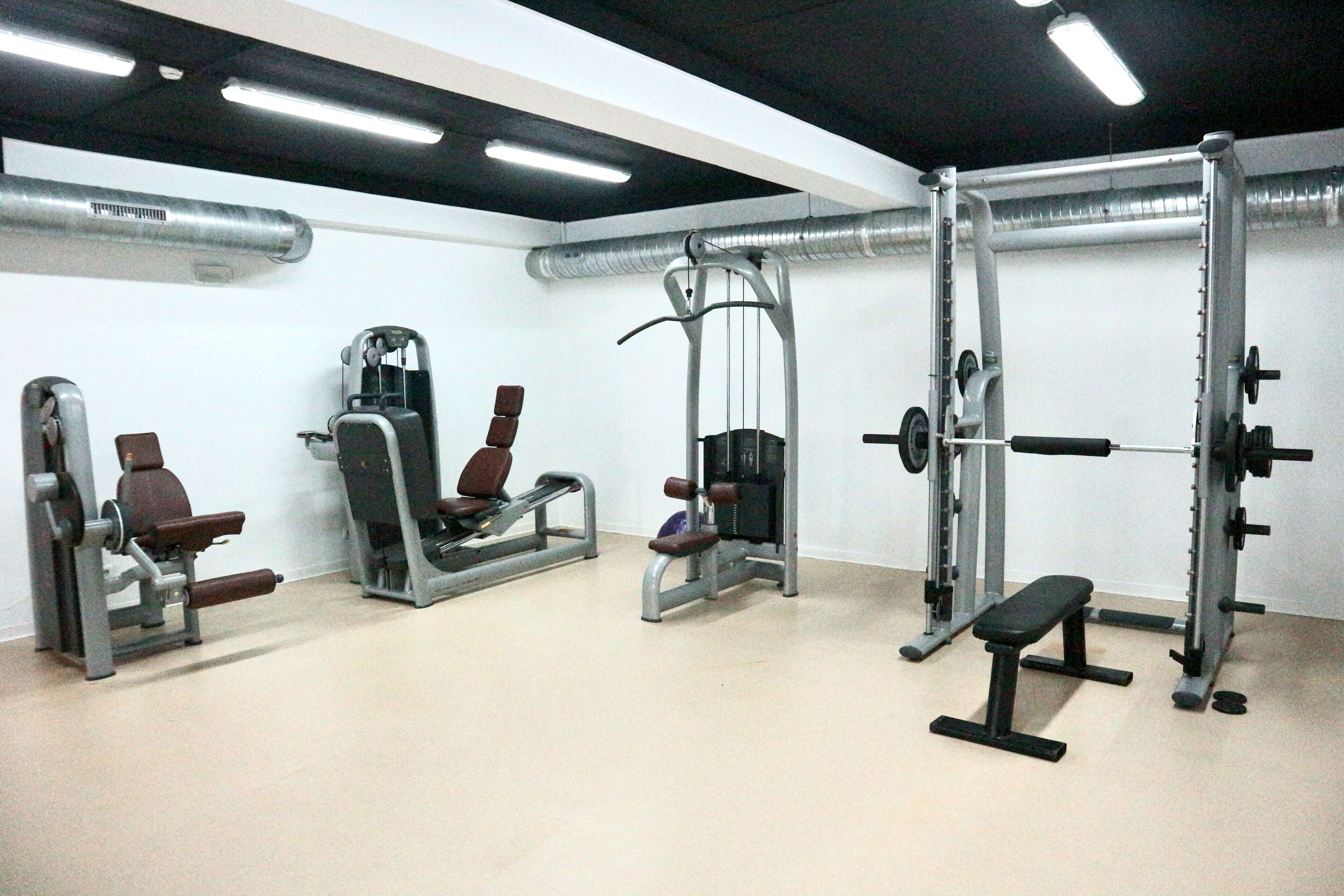 A gym with various exercise machines, a bench, and a squat rack.