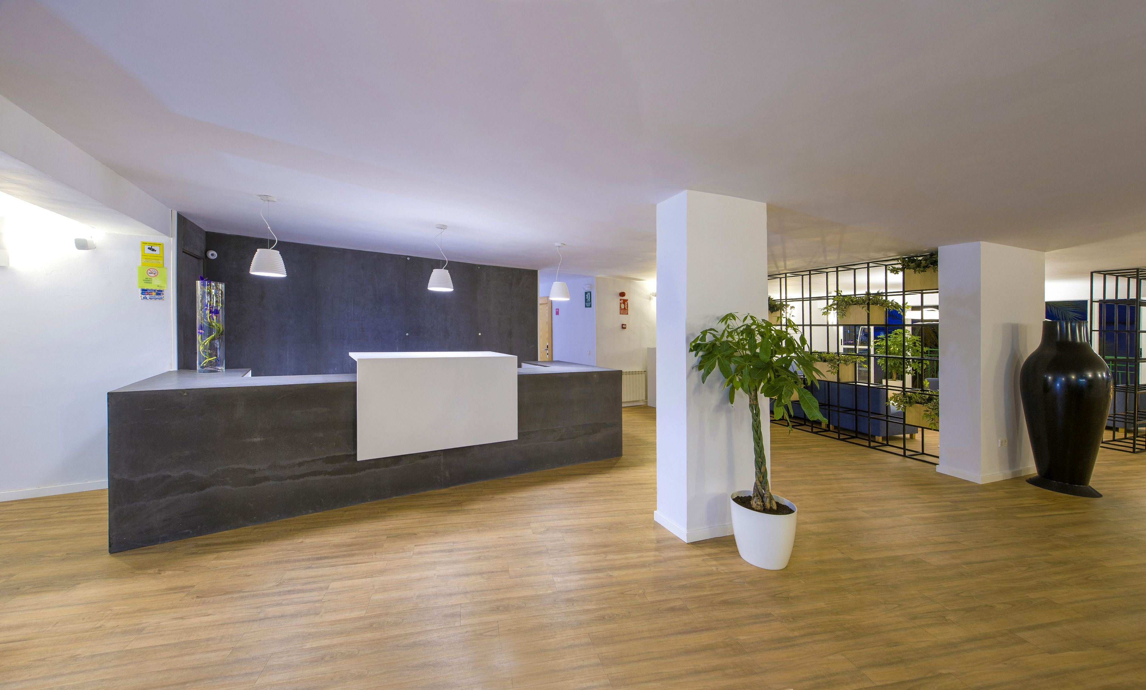 Een receptiegedeelte met een donker receptiebalie, witte wanden en een houten vloer. Er zijn hangende pendellampen, een potplant en een grote vaas.