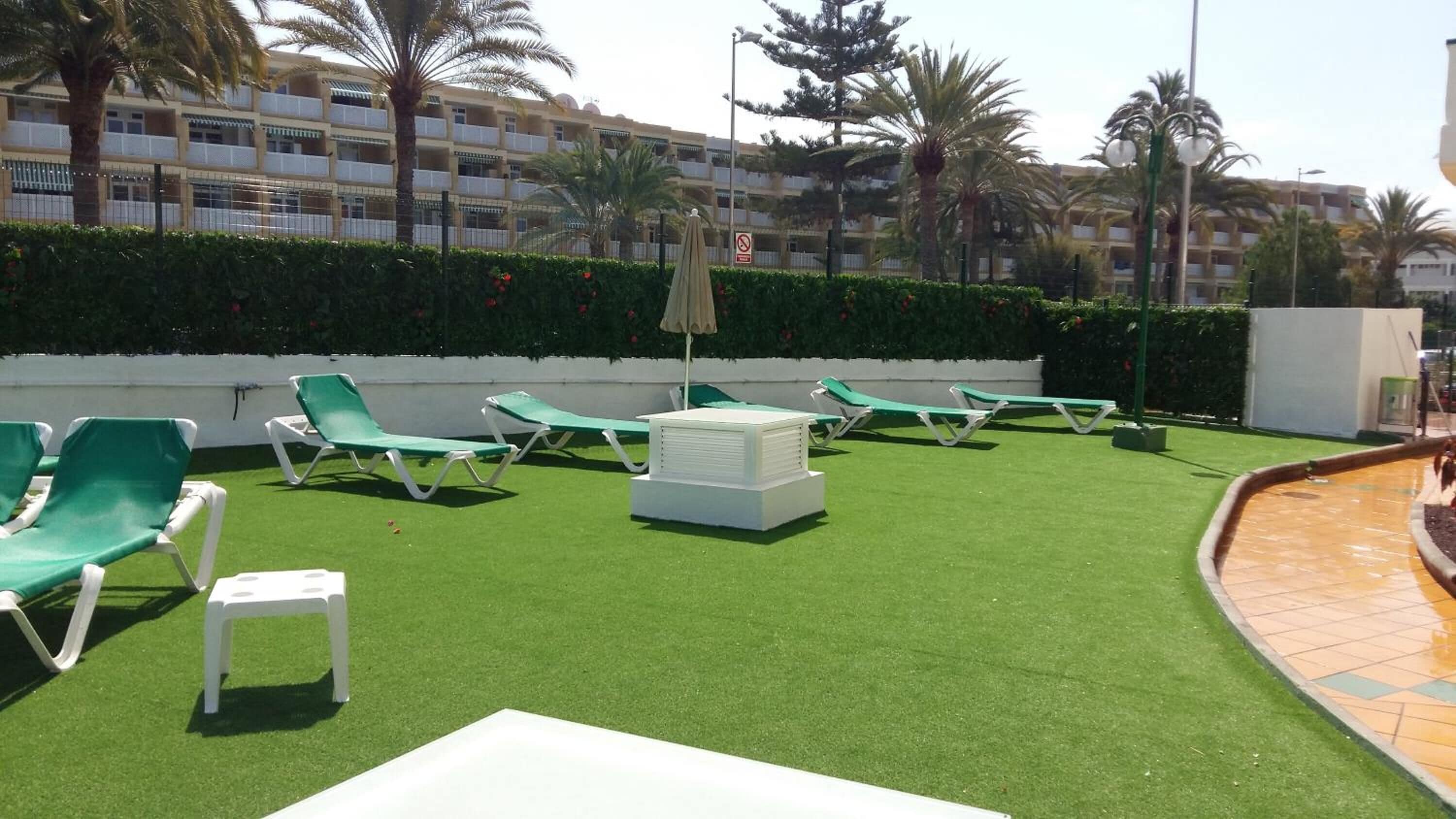 A pool area with green lounge chairs and a white table, surrounded by a hedge and palm trees.