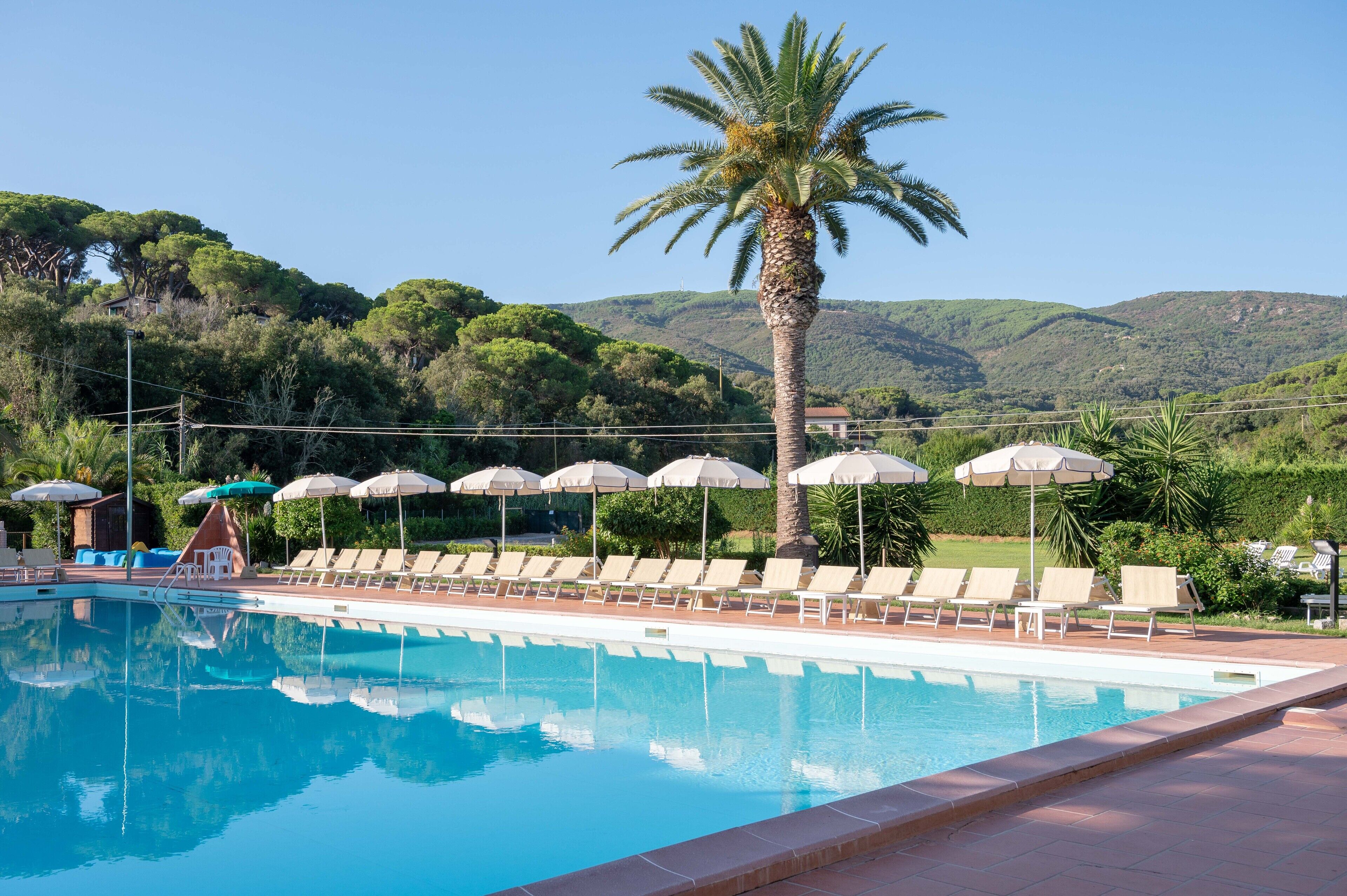 A pool with lounge chairs and umbrellas, surrounded by greenery and hills.