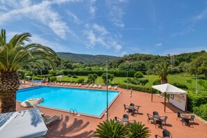 Una piscina con sillones de descanso y sombrillas, rodeada de follaje y colinas.