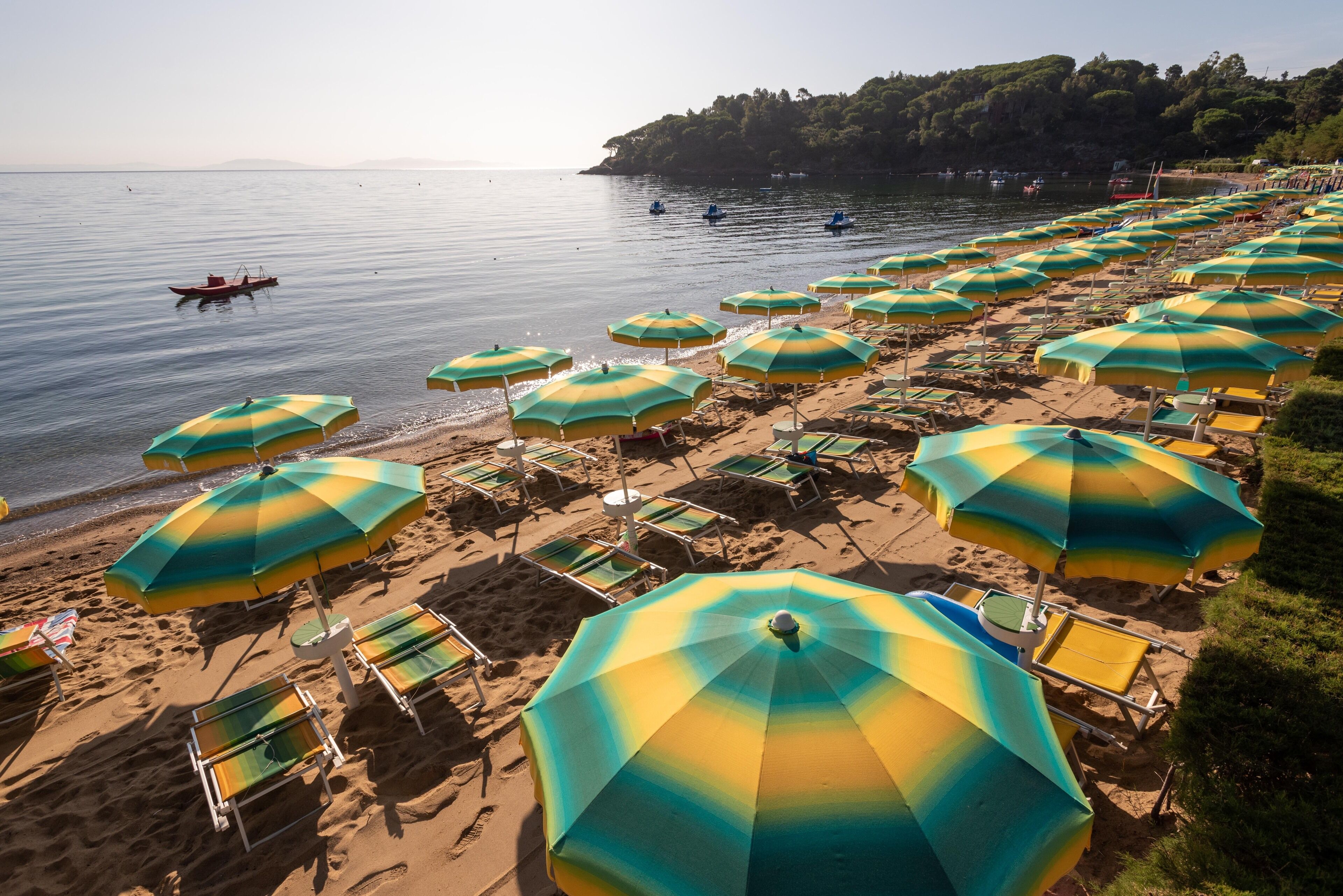Een strand met rijen parasols en ligbedden.