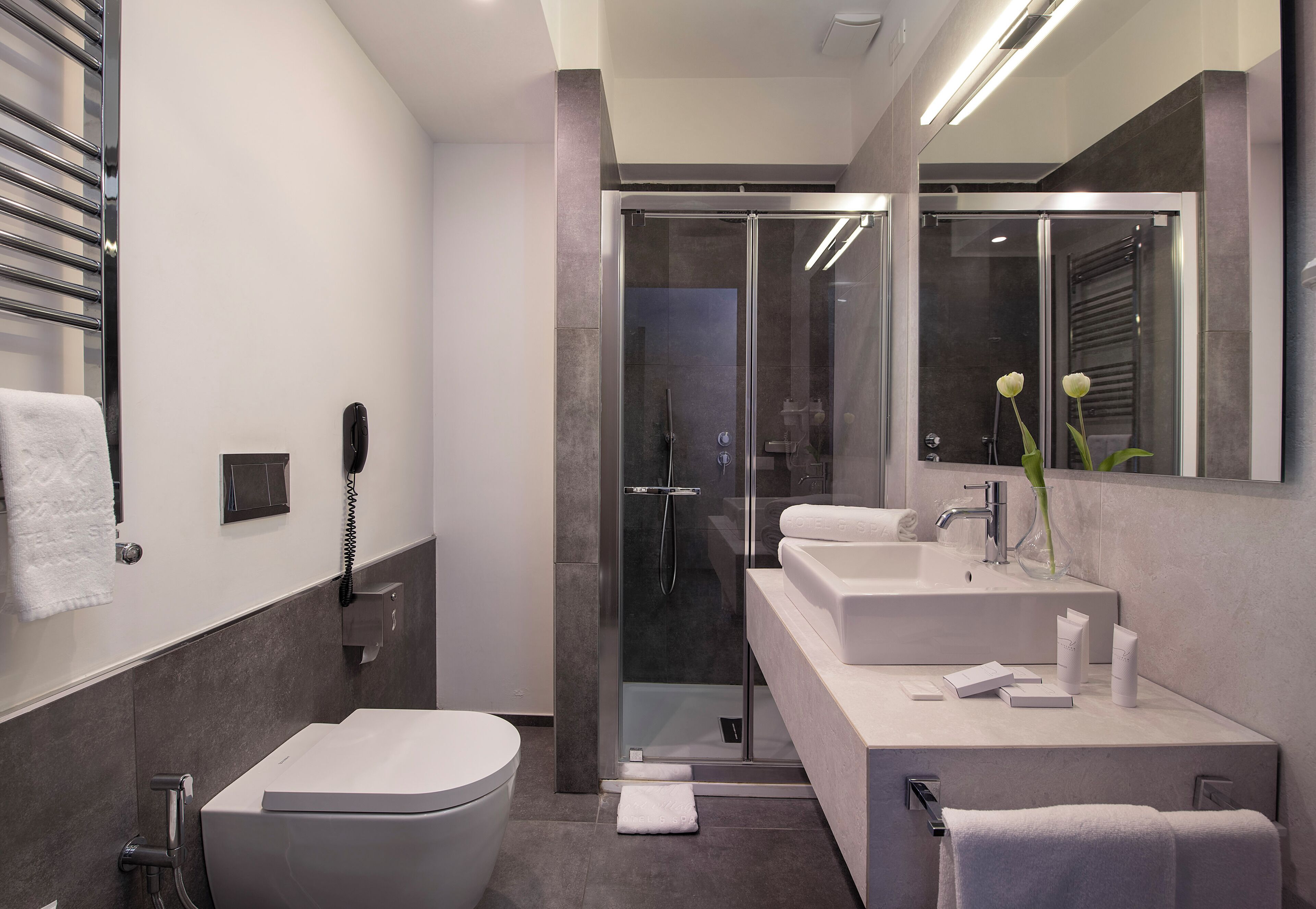 A modern bathroom with a glass shower enclosure, a toilet, a sink, and a mirror.