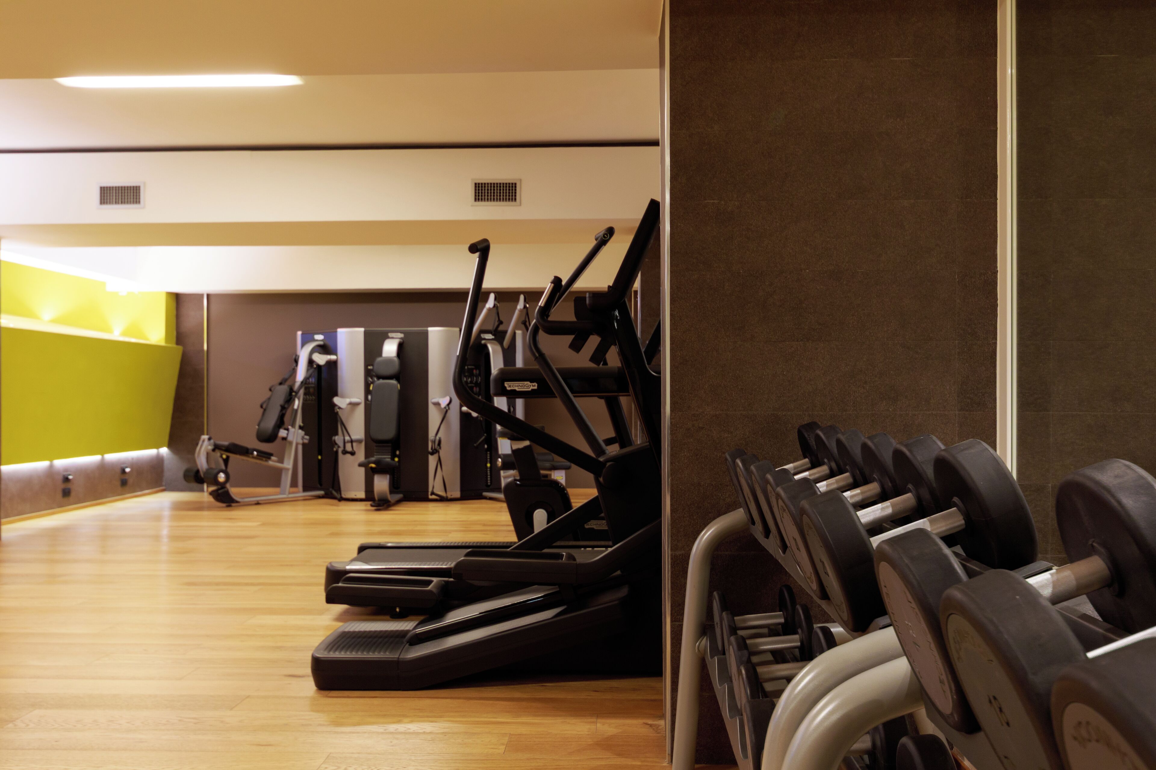 A gym with treadmills, elliptical machines, and weight benches.
