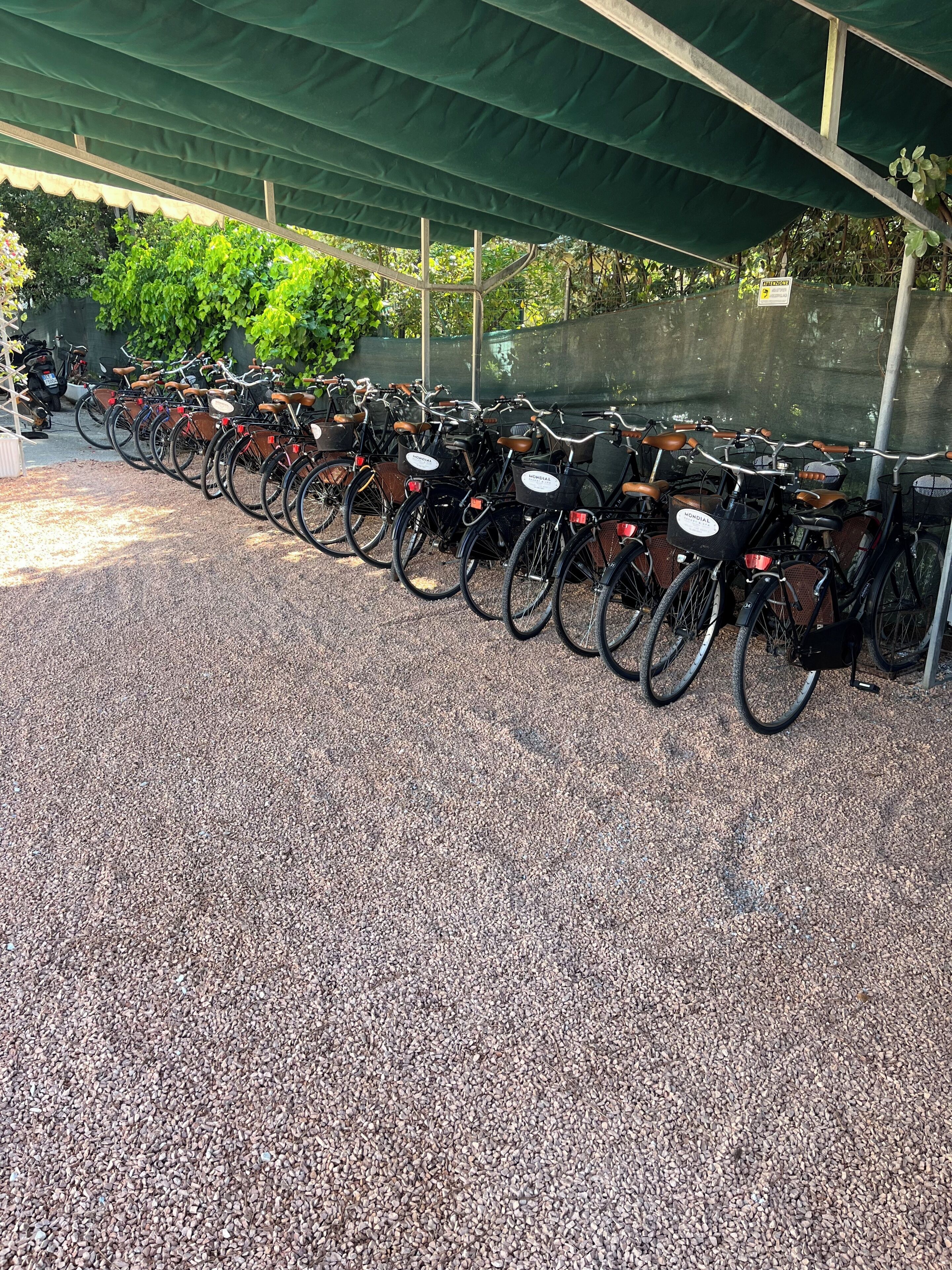 A row of bicycles under a green canopy, with a gravel ground.
