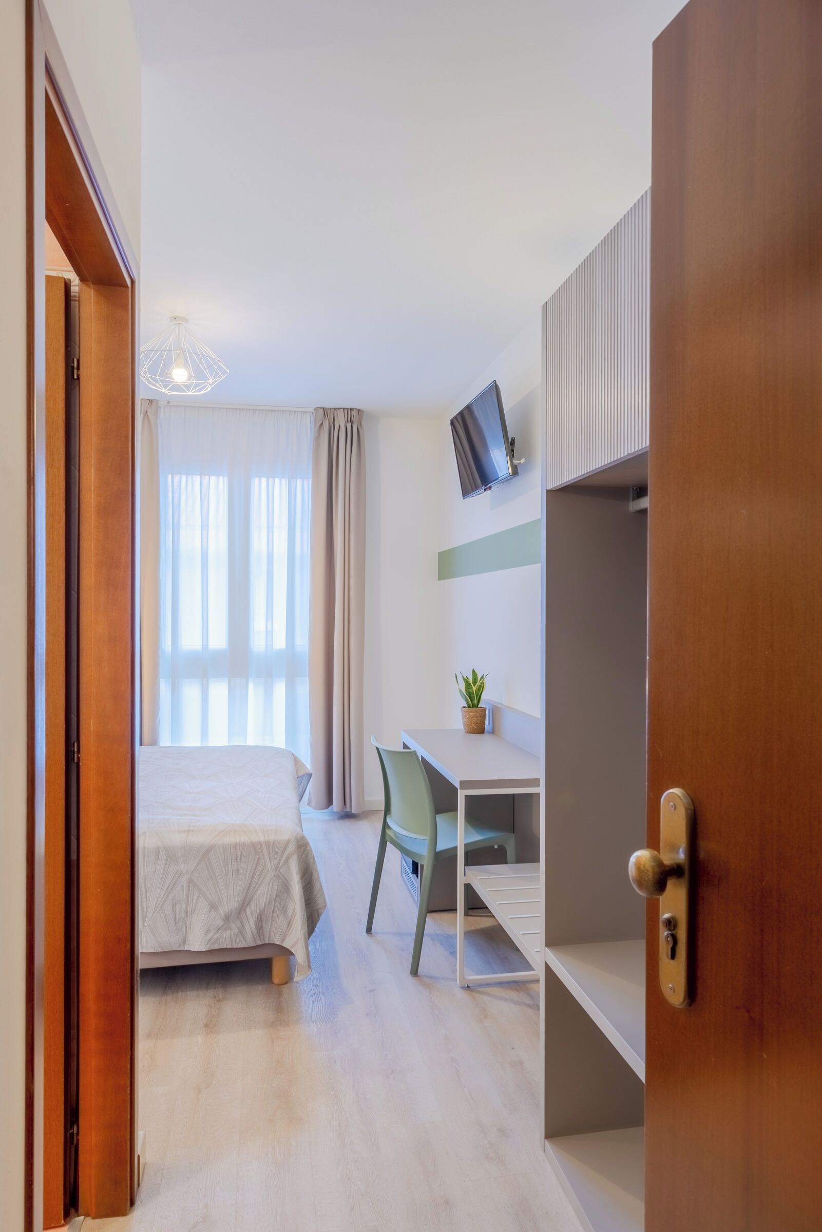 Een hotelkamer met een bed, een bureau, een stoel, een televisie en een potplant.