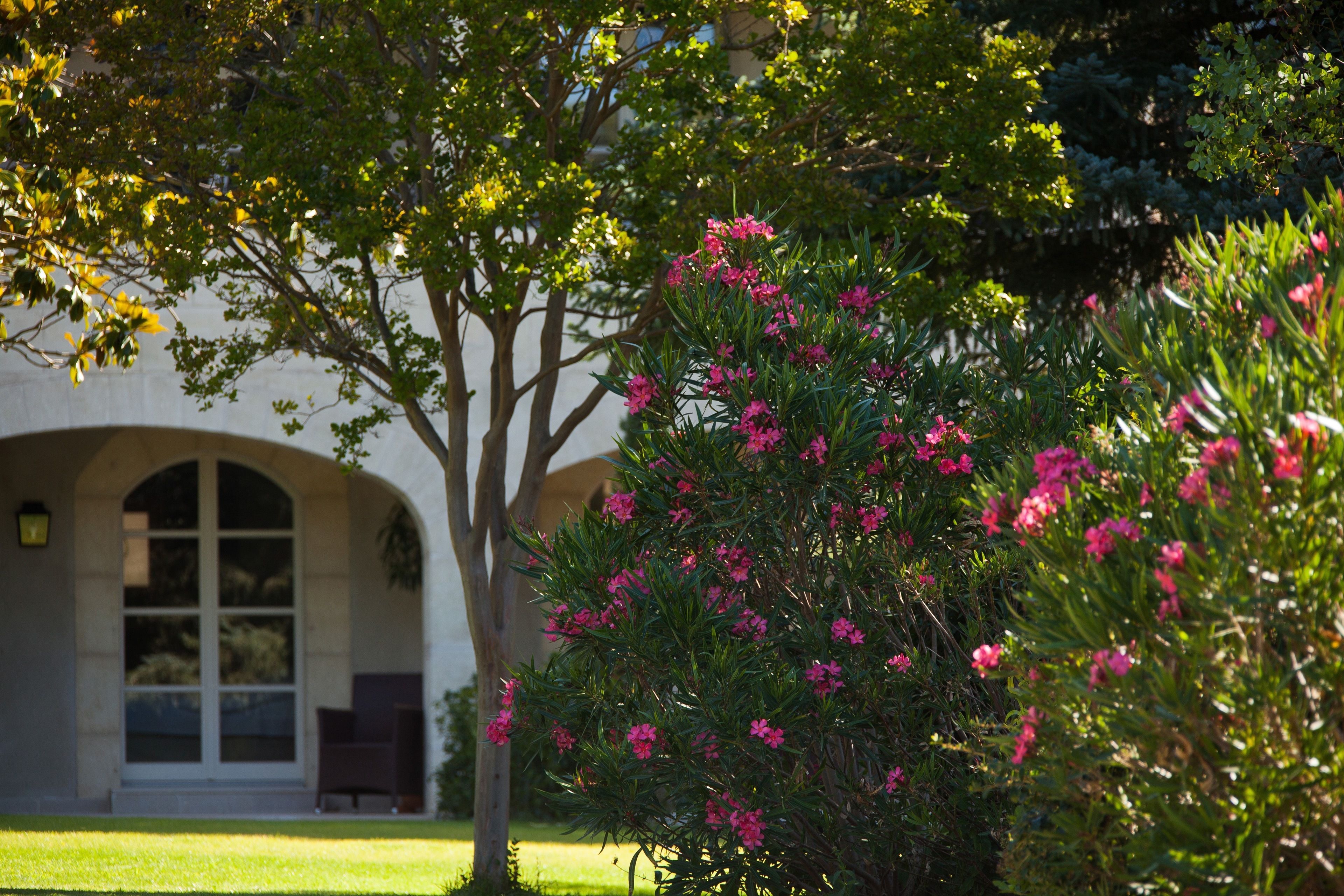 room (cote jardin) | garden