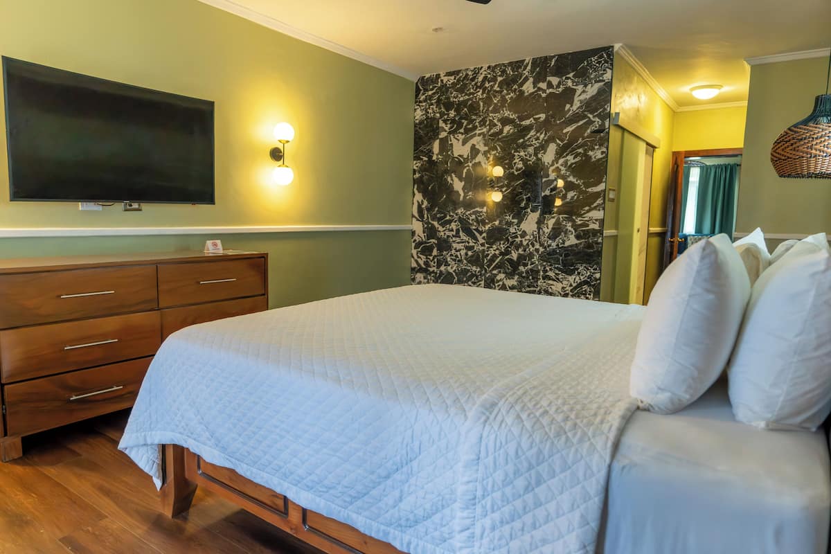 Une chambre à coucher avec un lit, une commode en bois et un téléviseur à écran plat fixé au mur.