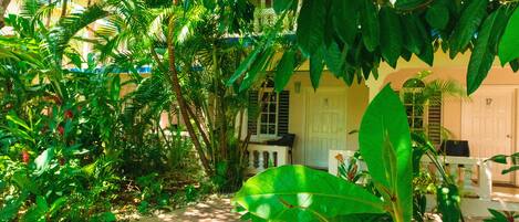 Un exuberante jardín con diversas plantas tropicales y un edificio blanco con un porche.