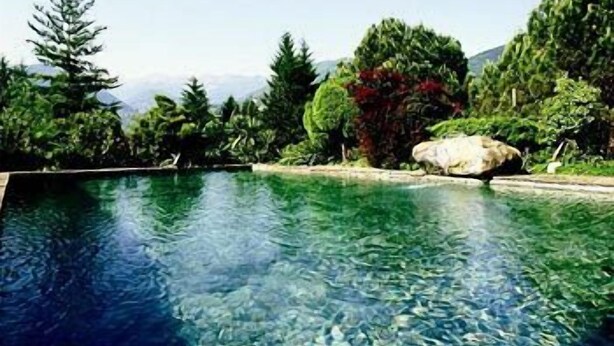 A clear swimming pool surrounded by lush greenery and a large rock. - Garni Gardenia (Caslano)