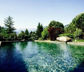 Una piscina cristalina rodeada de abundante vegetación y una gran roca.