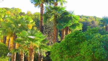 Jardín