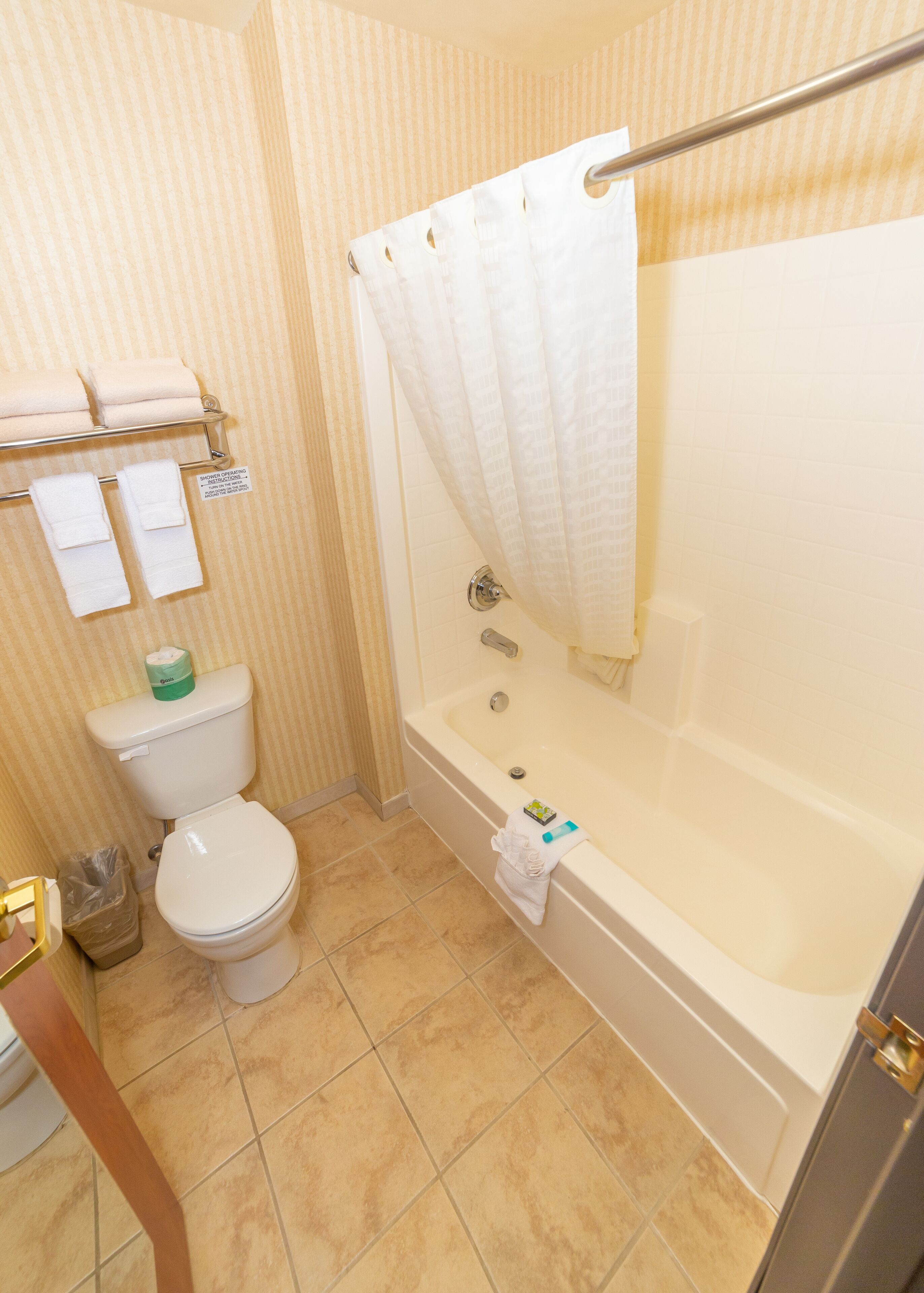 combined shower/bathtub, hair dryer, towels