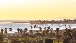 Vista costera con un muelle que se adentra en el océano, palmeras y un paisaje urbano distante.