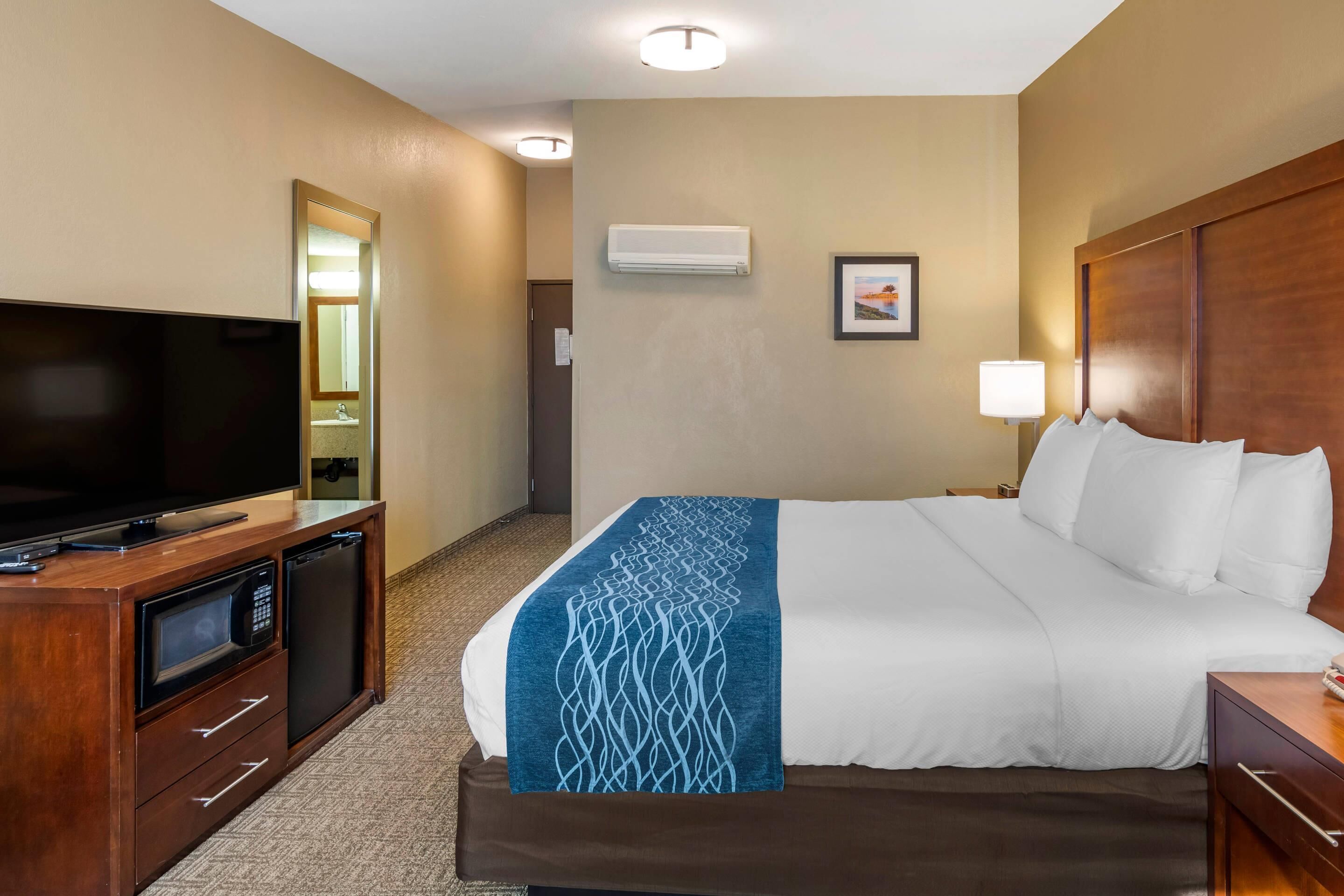 Habitación de hotel con cama, televisión, microondas y escritorio.