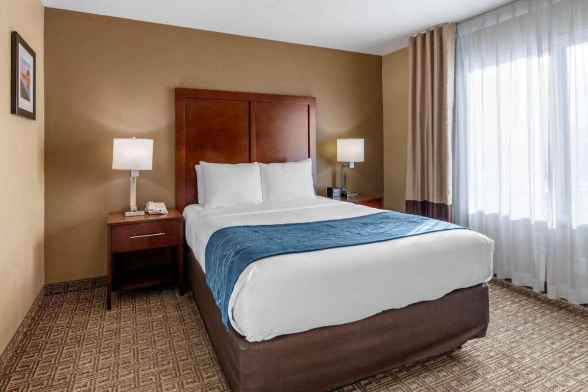 Quarto de hotel com uma cama grande, duas mesas de cabeceira, um criado-mudo, manta azul e uma janela com cortinas leves.