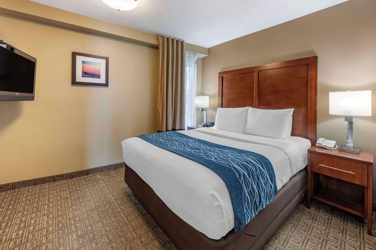 Studio suite, meerdere bedden, niet-roken | Luxe beddengoed, pillowtop-bedden, individueel gedecoreerd