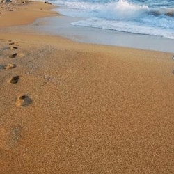 位於海灘上、海灘浴巾