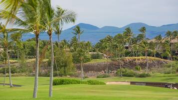 إطلالة الغرفة