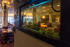 Se sirven desayunos, almuerzos y cenas; cocina internacional