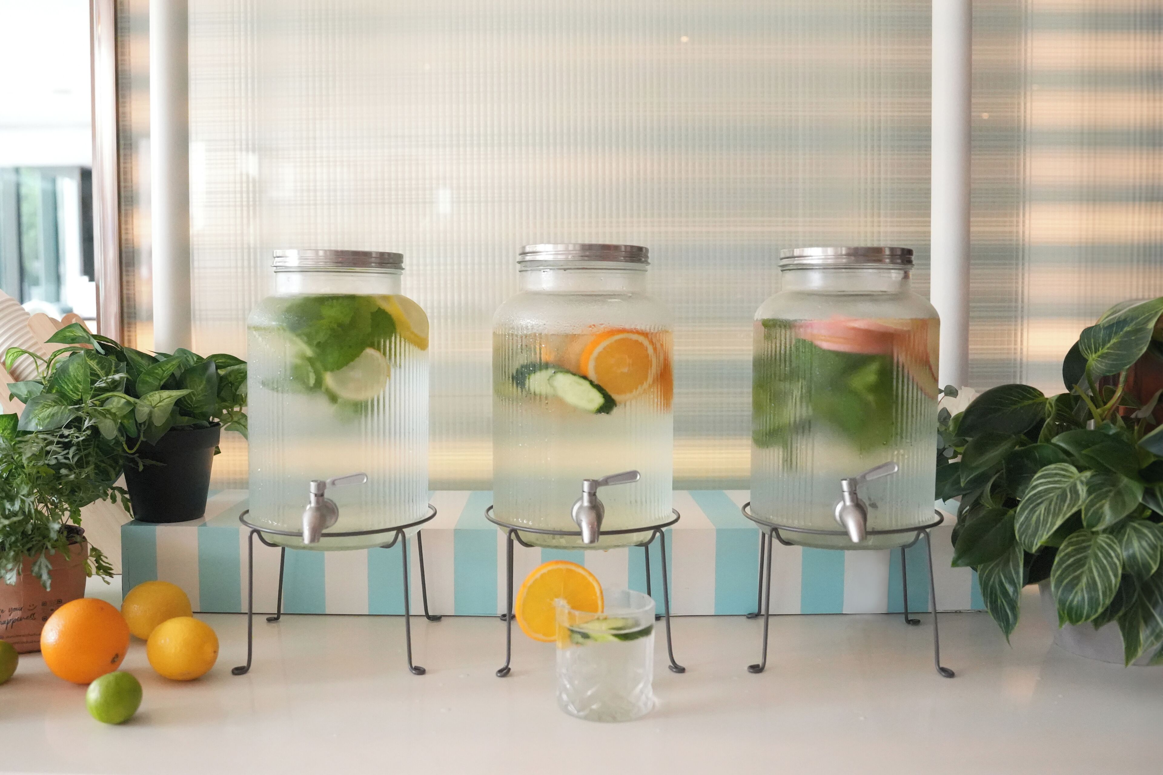 Three glass jars with metal lids, each containing a clear liquid and various fruits and herbs, placed on metal stands.
