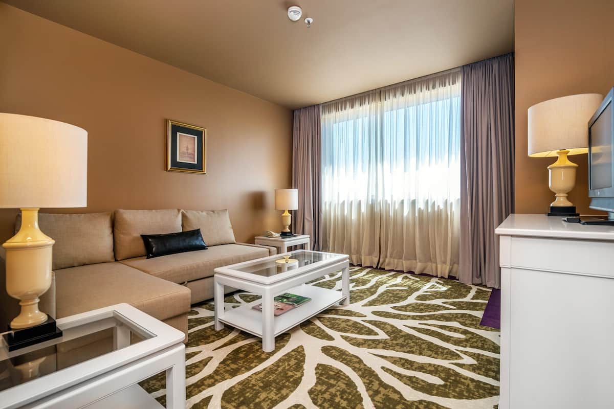 Une chambre d’hôtel avec un canapé, une table basse, un téléviseur et une moquette à motifs.