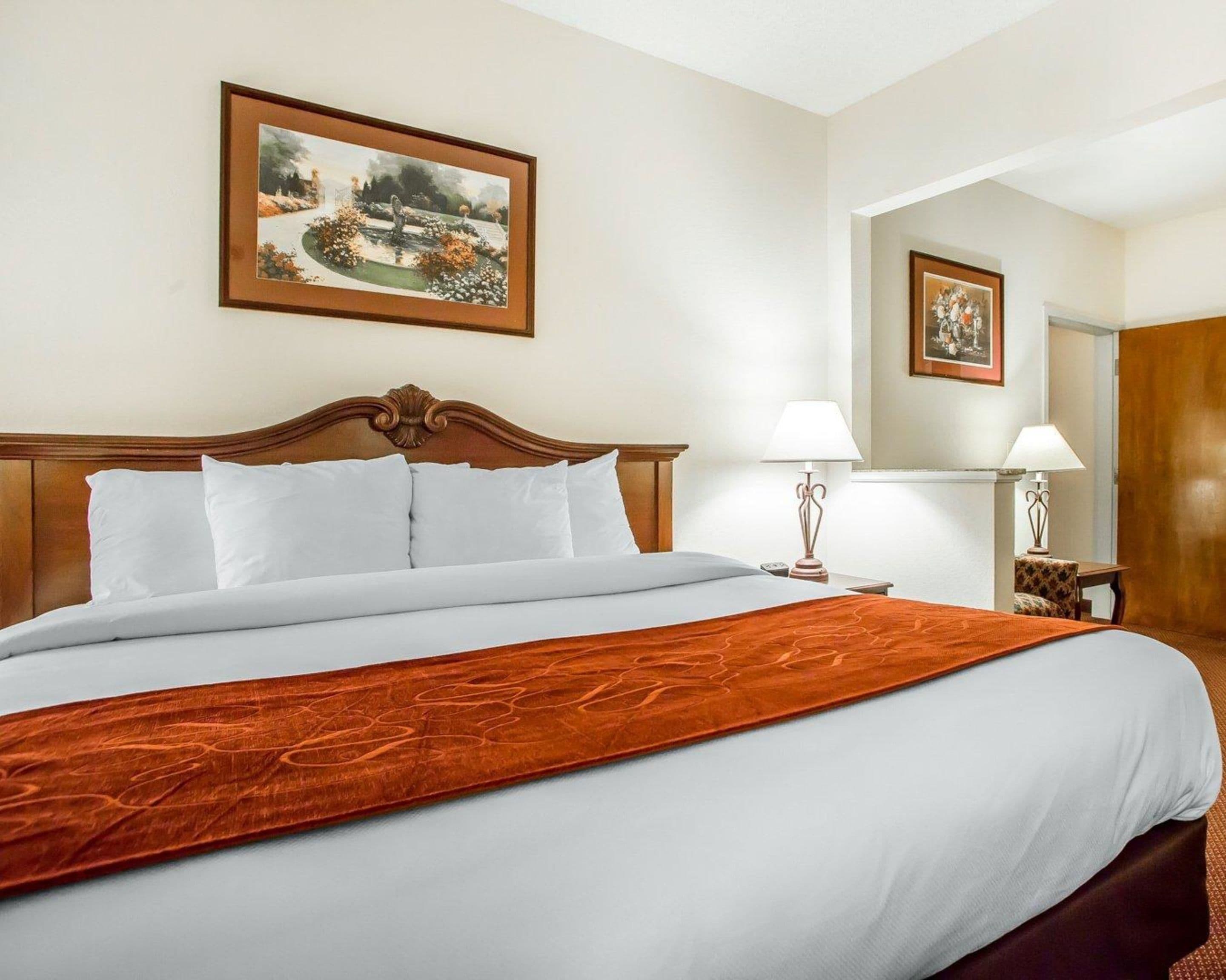 A hotel room with a large bed, a wooden headboard, white bedding, a red throw blanket, a nightstand with a lamp, and a framed picture on the wall.