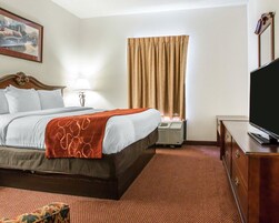 Una habitación de hotel con cama, televisión, cómoda y ventana con cortinas.