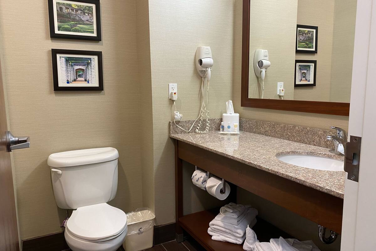 combined shower/bathtub, free toiletries, hair dryer, towels