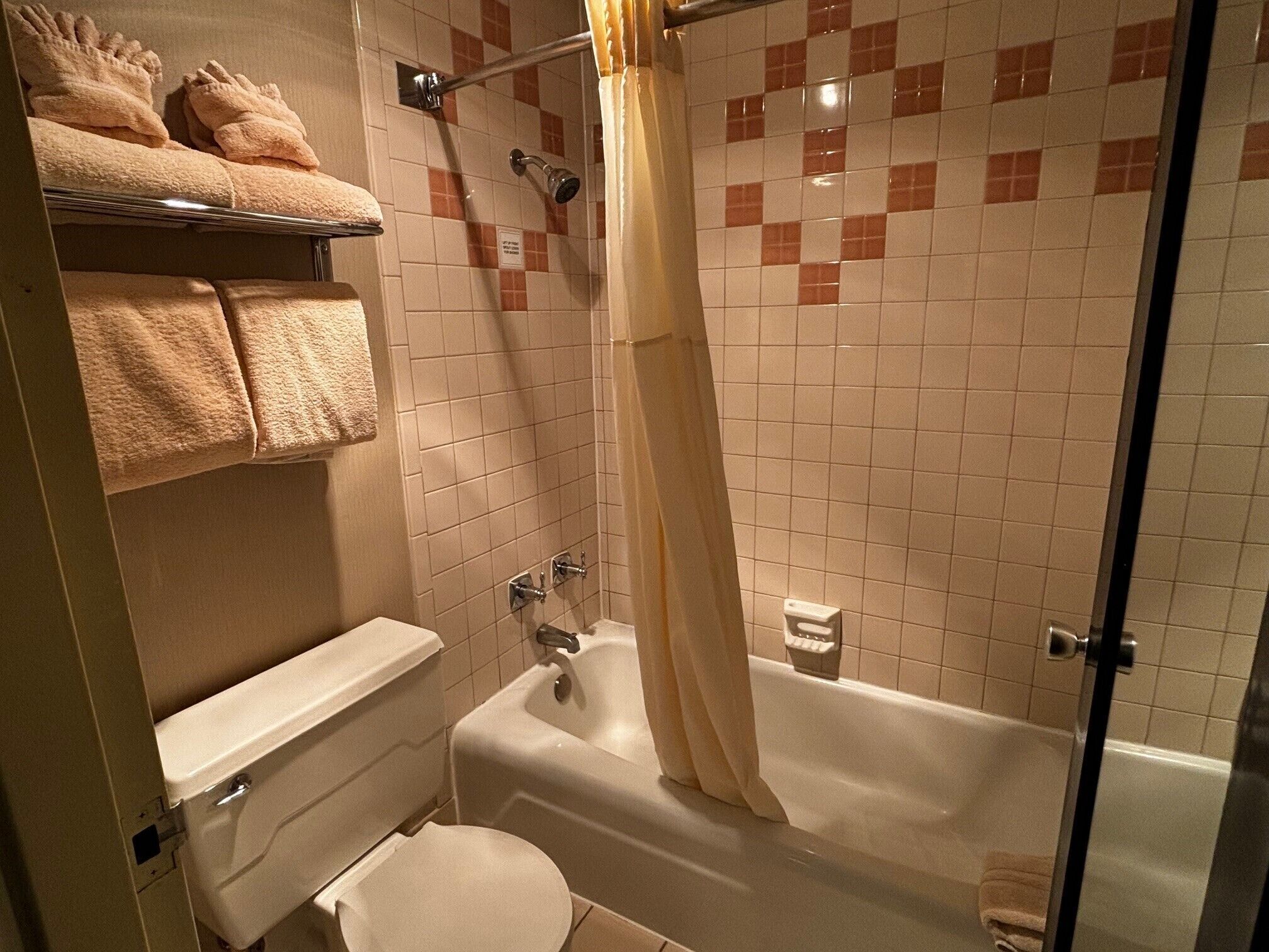 combined shower/bathtub, hair dryer, towels