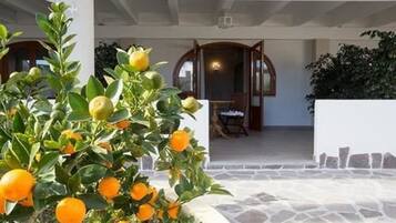 Kamar Triple Standar | Teras/patio
