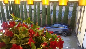 Un coche estacionado en una entrada con una fila de árboles altos, verdes y cónicos al fondo.