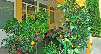 Bed & Breakfast Ai Cipressi