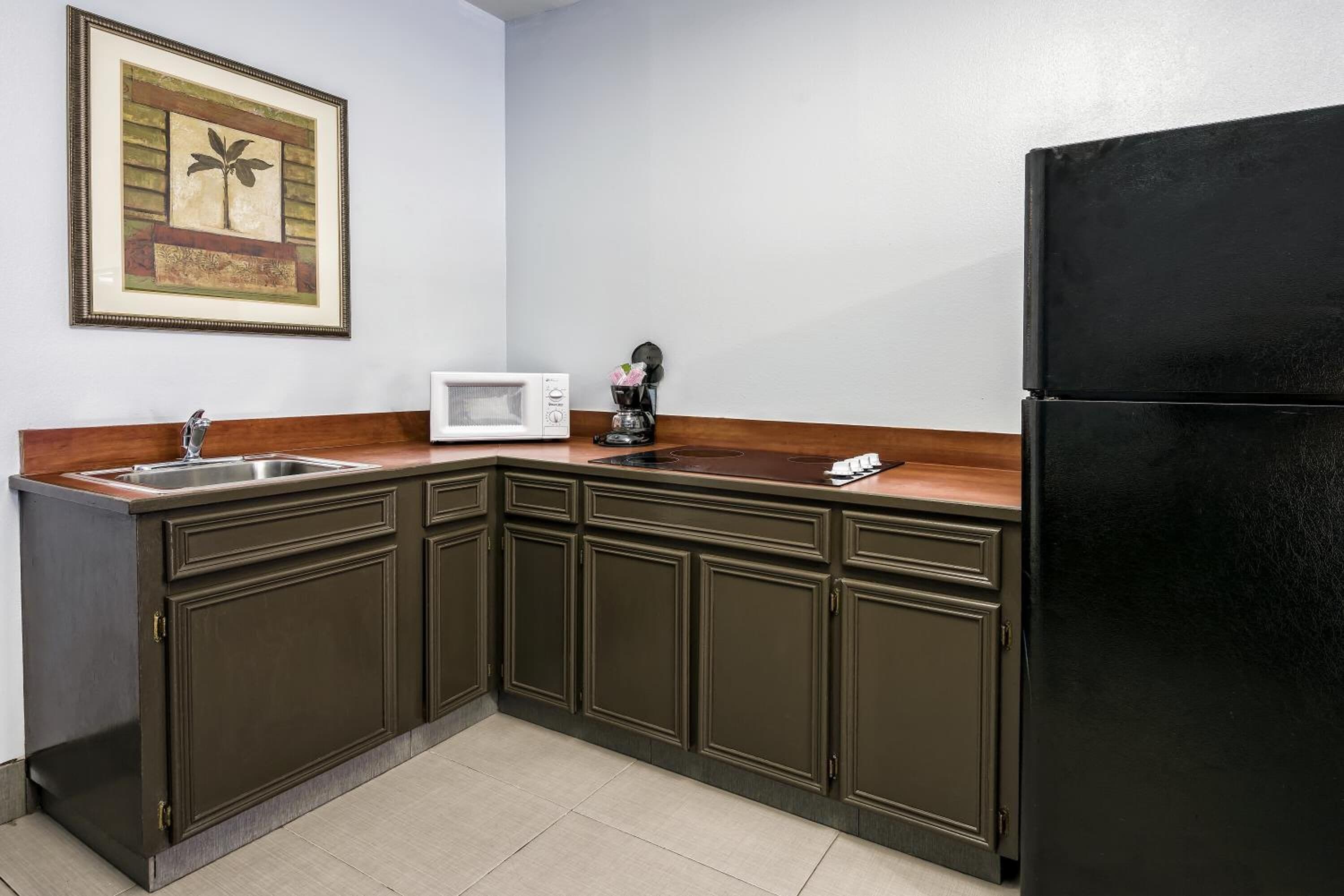 mini-fridge, microwave, coffee/tea maker